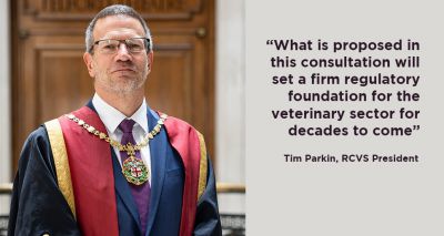 RCVS shares response to VSA consultation